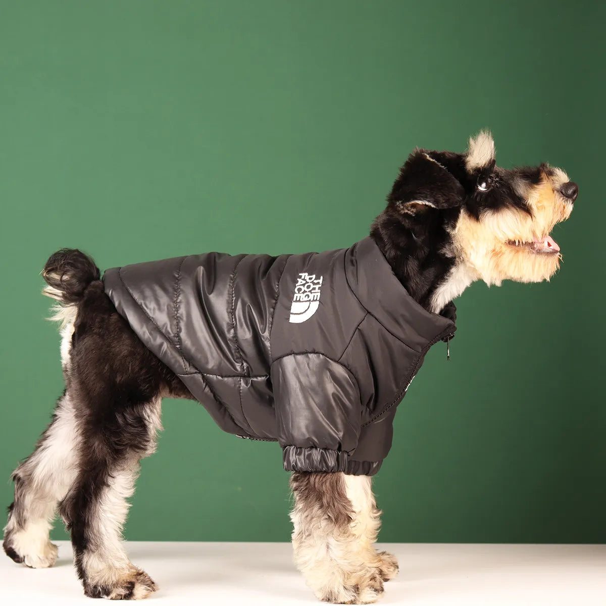 The Dog Face Puffer Jacket